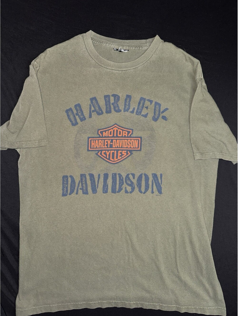 Harley Davidson Men's Manatee River Graphic T-Shirt Green Size Large